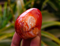 Polished Carnelian Agate Gemstone Eggs x 12 From Madagascar - Toprock Gemstones and Minerals