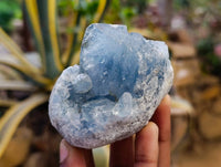 Natural Blue Celestite Crystal Specimens x 6 From Sakoany, Madagascar - Toprock Gemstones and Minerals