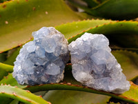 Natural Blue Celestite Crystal Specimens x 6 From Sakoany, Madagascar - Toprock Gemstones and Minerals