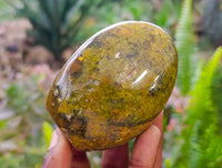 Polished Green Opal Standing Free Forms x 6 From Antsirabe, Madagascar - Toprock Gemstones and Minerals
