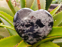Polished Gabbro 'Merlinite' Hearts x 2 From Madagascar - Toprock Gemstones and Minerals