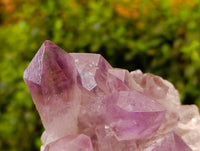 Natural Jacaranda Amethyst Quartz Crystals x 2 From Mumbwa, Zambia - Toprock Gemstones and Minerals