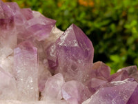 Natural Jacaranda Amethyst Quartz Crystals x 2 From Mumbwa, Zambia - Toprock Gemstones and Minerals