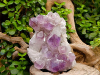 Natural Jacaranda Amethyst Quartz Crystals x 2 From Mumbwa, Zambia - Toprock Gemstones and Minerals