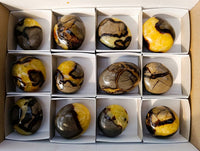 Polished Septerye Palm Stones x 12 From Mahajanga, Madagascar - Toprock Gemstones and Minerals