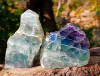 Polished On One Side Watermelon Fluorite x 6 From Uis, Namibia - Toprock Gemstones and Minerals