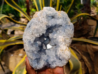 Natural Blue Celestite Crystal Specimen x 1 From Sakoany, Madagascar - Toprock Gemstones and Minerals
