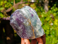 Natural Watermelon Fluorite Cobbed Specimens x 5 From Uis, Namibia - Toprock Gemstones and Minerals