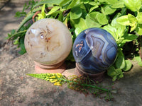 Polished Banded Agate Spheres x 2 From Madagascar - Toprock Gemstones and Minerals