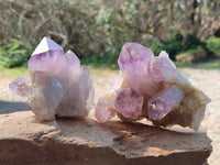 Natural Jacaranda Amethyst Quartz Crystals x 6 From Mumbwa, Zambia - Toprock Gemstones and Minerals
