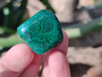Polished Flower Banded Malachite Free Forms x 35 From Congo - Toprock Gemstones and Minerals