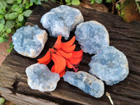 Natural Blue Celestite Crystal Specimens x 6 From Sakoany, Madagascar - Toprock Gemstones and Minerals