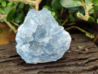 Natural Blue Celestite Crystal Specimens x 6 From Sakoany, Madagascar - Toprock Gemstones and Minerals