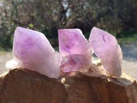 Natural Jacaranda Amethyst Quartz Crystals x 6 From Mumbwa, Zambia - Toprock Gemstones and Minerals