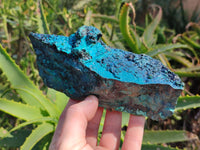 Natural Silica Chrysocolla Specimens x 5 From Namibia - Toprock Gemstones and Minerals