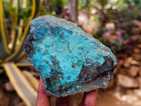 Natural Shattuckite With Chrysocolla Specimens x 12 From Koakoveld, Namibia - Toprock Gemstones and Minerals
