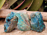 Natural Shattuckite With Chrysocolla Specimens x 12 From Koakoveld, Namibia - Toprock Gemstones and Minerals
