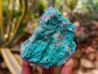 Natural Shattuckite With Chrysocolla Specimens x 12 From Koakoveld, Namibia - Toprock Gemstones and Minerals