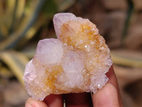 Natural Amethyst Spirit Quartz Crystals x 20 From Boekenhouthoek, South Africa - Toprock Gemstones and Minerals