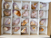 Natural Amethyst Spirit Quartz Crystals x 20 From Boekenhouthoek, South Africa - Toprock Gemstones and Minerals