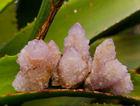 Natural Amethyst Spirit Quartz Crystals x 20 From Boekenhouthoek, South Africa - Toprock Gemstones and Minerals