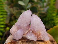 Natural Amethyst Spirit Quartz Crystals x 20 From Boekenhouthoek, South Africa - Toprock Gemstones and Minerals