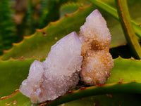 Natural Amethyst Spirit Quartz Crystals x 20 From Boekenhouthoek, South Africa - Toprock Gemstones and Minerals