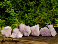 Natural Amethyst Spirit Quartz Clusters x 6 From Boekenhouthoek, South Africa - Toprock Gemstones and Minerals