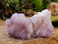 Natural Amethyst Spirit Quartz Clusters x 6 From Boekenhouthoek, South Africa - Toprock Gemstones and Minerals