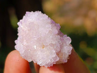 Natural Amethyst Spirit Quartz Crystals x 101 From Boekenhouthoek, South Africa - Toprock Gemstones and Minerals