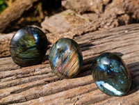 Polished Labradorite Galets x 12 From Tulear, Madagascar - Toprock Gemstones and Minerals