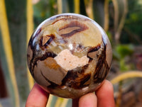 Polished Septaria Spheres x 6 From Madagascar - Toprock Gemstones and Minerals