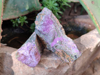 Natural Stichtite Specimens x 24 From Barberton, South Africa - Toprock Gemstones and Minerals