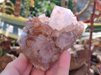 Natural Cactus Flower Smokey Amethyst Spirit Clusters x 5 From South Africa - Toprock Gemstones and Minerals