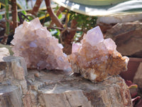 Natural Cactus Flower Smokey Amethyst Spirit Clusters x 5 From South Africa - Toprock Gemstones and Minerals