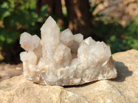 Natural Fairy Spirit Quartz Clusters x 6 From Boekenhouthoek, South Africa - Toprock Gemstones and Minerals