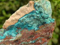 Natural Shattuckite, Chrysocolla with Malachite Specimens x 1 Lot From Koakoveld, Namibia - Toprock Gemstones and Minerals