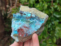 Natural Shattuckite, Chrysocolla with Malachite Specimens x 1 Lot From Koakoveld, Namibia - Toprock Gemstones and Minerals