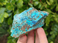 Natural Shattuckite, Chrysocolla with Malachite Specimens x 1 Lot From Koakoveld, Namibia - Toprock Gemstones and Minerals