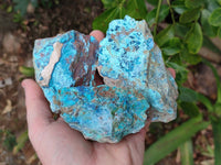 Natural Shattuckite, Chrysocolla with Malachite Specimens x 1 Lot From Koakoveld, Namibia - Toprock Gemstones and Minerals