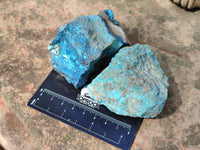 Natural Shattuckite, Chrysocolla with Malachite Specimens x 1 Lot From Koakoveld, Namibia - Toprock Gemstones and Minerals
