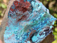 Natural Shattuckite, Chrysocolla with Malachite Specimens x 1 Lot From Koakoveld, Namibia - Toprock Gemstones and Minerals