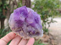 Natural Dark and Chevron Amethyst Clusters x 6 From Mapatizya, Zambia - Toprock Gemstones and Minerals