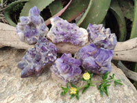 Natural Dark and Chevron Amethyst Clusters x 6 From Mapatizya, Zambia - Toprock Gemstones and Minerals