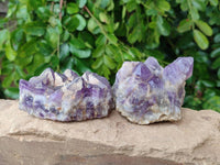 Natural Dark and Chevron Amethyst Clusters x 6 From Mapatizya, Zambia - Toprock Gemstones and Minerals