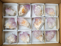 Natural Cactus Flower Amethyst Spirit Quartz Crystals x 12 From South Africa - Toprock Gemstones and Minerals