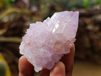 Natural Cactus Flower Amethyst Spirit Quartz Crystals x 12 From South Africa - Toprock Gemstones and Minerals