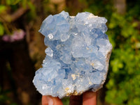 Natural Blue Celestite Crystal Specimens x 3 From Sakoany, Madagascar - Toprock Gemstones and Minerals