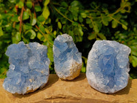 Natural Blue Celestite Crystal Specimens x 3 From Sakoany, Madagascar - Toprock Gemstones and Minerals