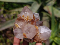 Natural Golden Limonite Spirit Quartz Crystals x 4 From South Africa - Toprock Gemstones and Minerals